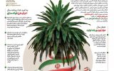 مدیرعامل شرکت فولاد اکسین خوزستان:طرح فولاد سازی فولاد اکسین اجرایی می‌شود